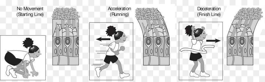 Correr，Dibujos Animados PNG