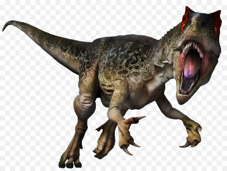 Tyrannosaurus，Allosaurus PNG