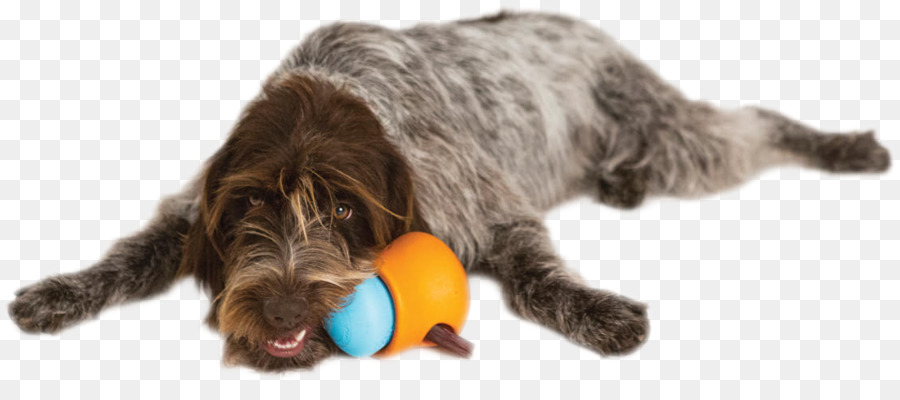 Griffon Apuntando Con Cables De Alambre，Juguetes Para Perros PNG