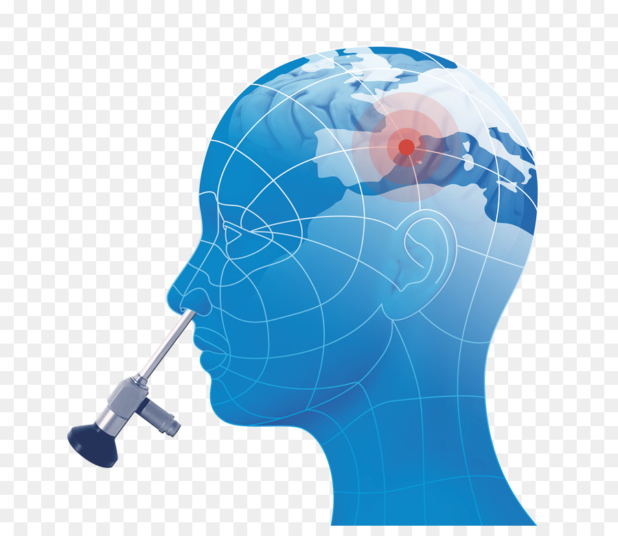 Ilustración Del Cerebro，Cabeza PNG