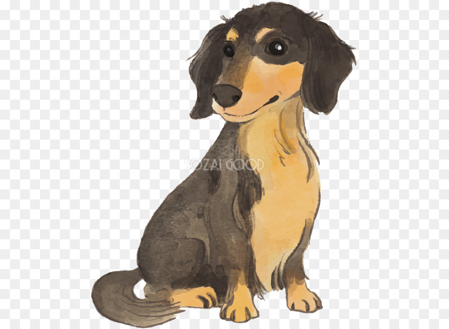 Perro Tejonero，Cachorro PNG