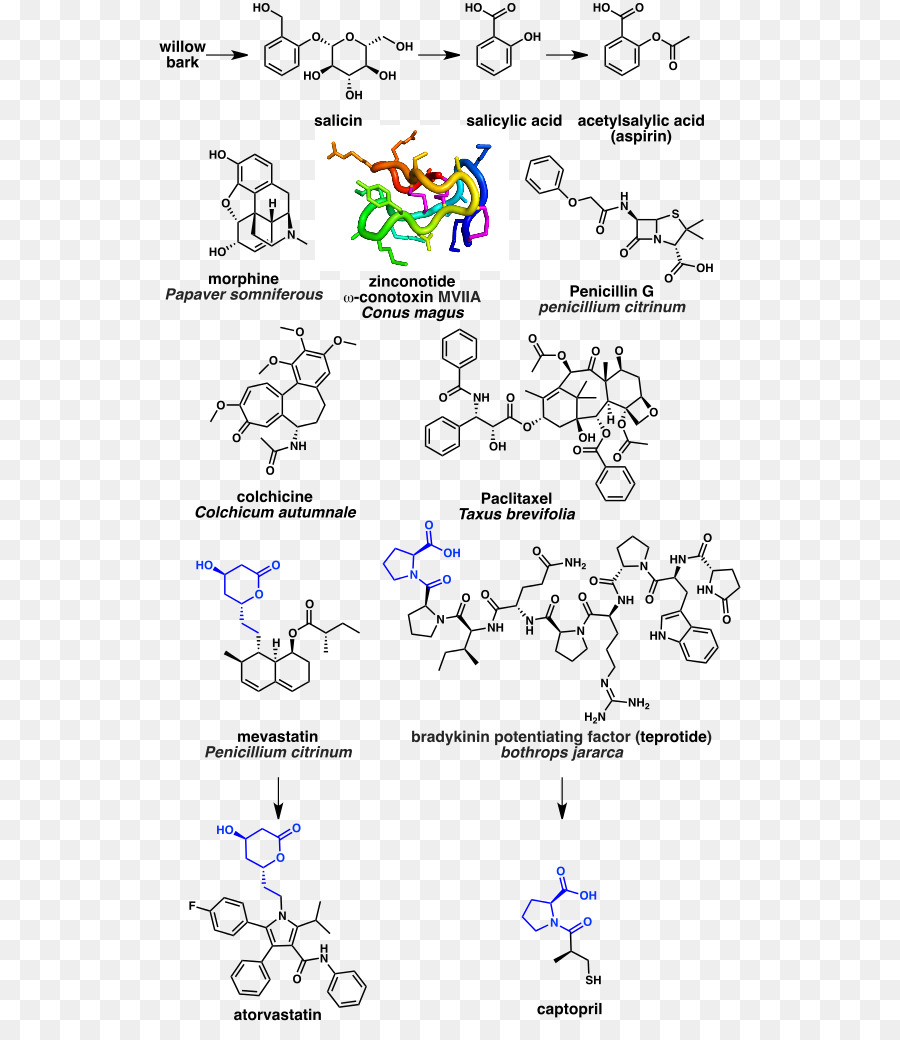 Producto Natural，Naturaleza PNG