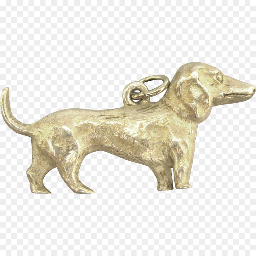 Perro，Plata PNG