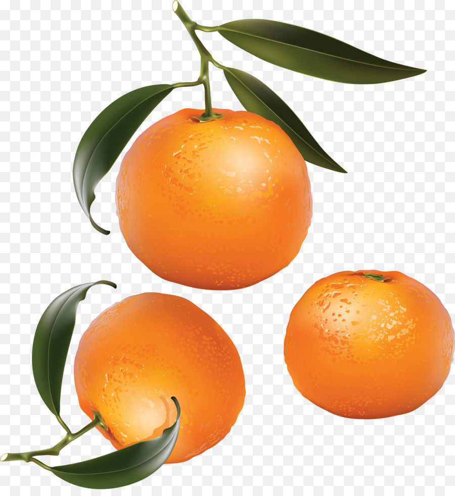 Naranja，Agrios PNG