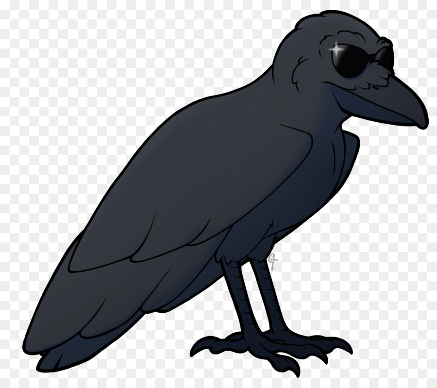 Cuervo Americano，Sobras PNG