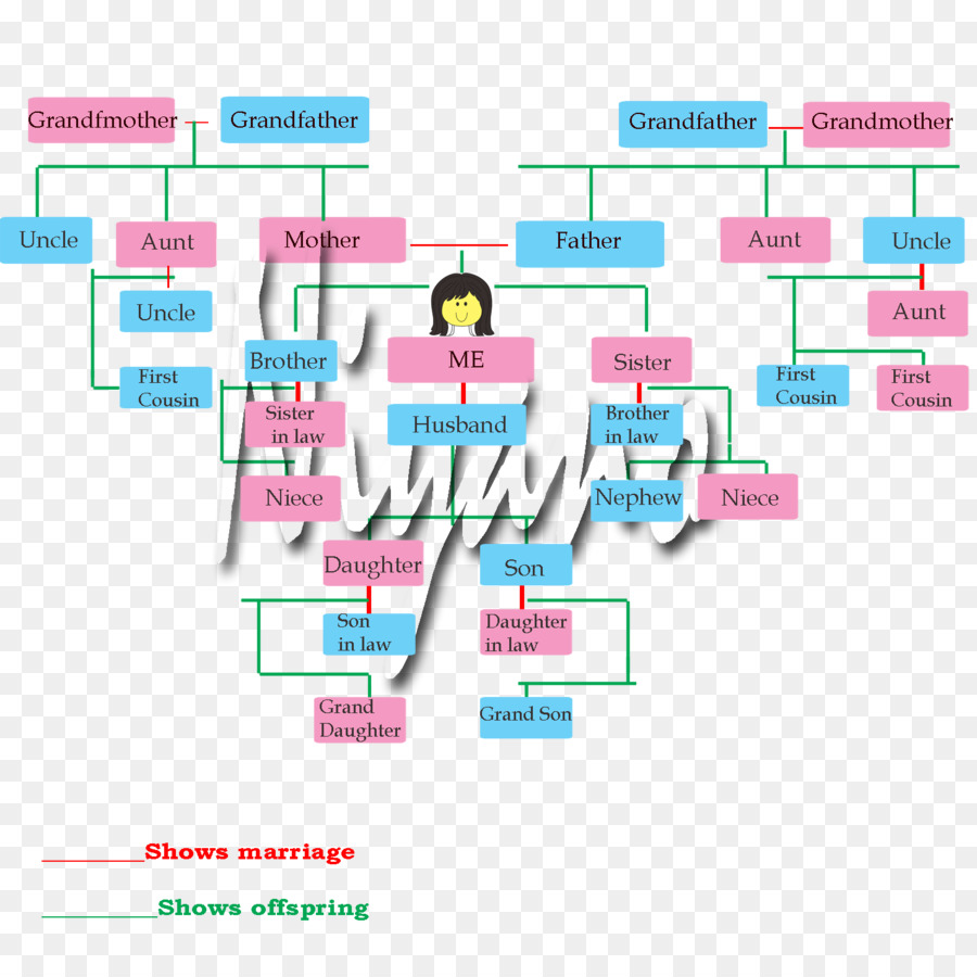 Papel，Usmle Paso 3 PNG