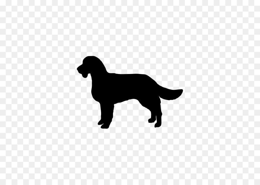 Labrador Retriever，Publicidad PNG