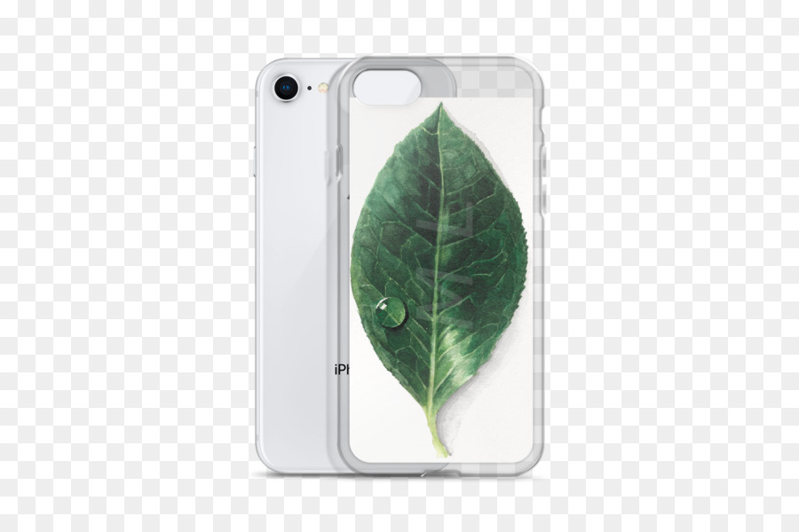 Verde，Hoja PNG