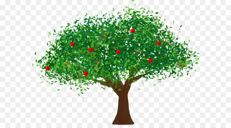 árbol De La Fruta，Apple PNG