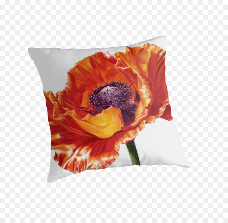 Amapola，Cuadro PNG