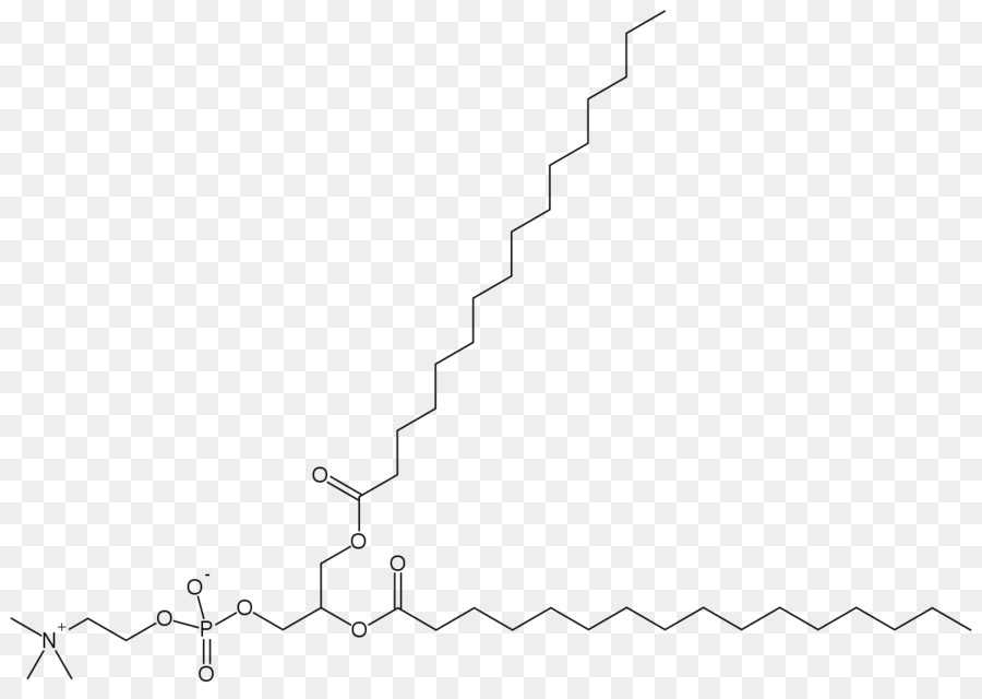 Estructura Química，Molécula PNG