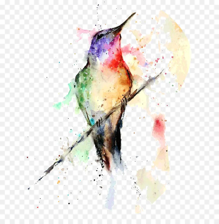 Colibrí，Pintura De Acuarela PNG