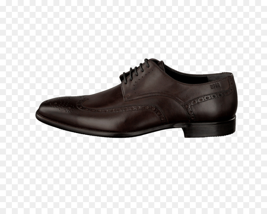 Zapato De Oxford，Zapato PNG