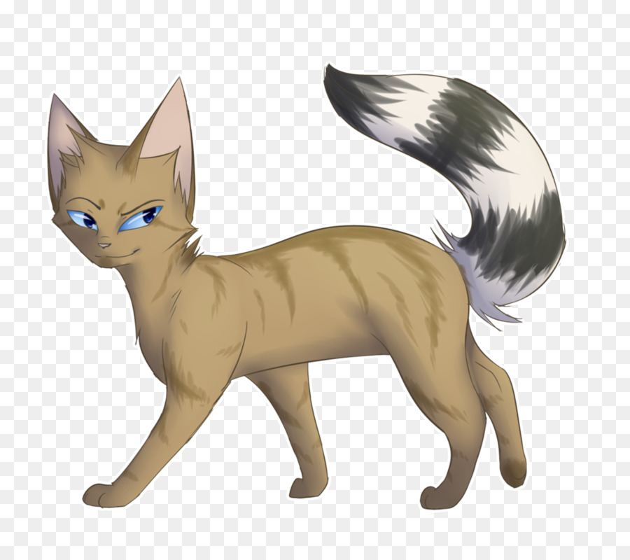 Gato，Felino PNG