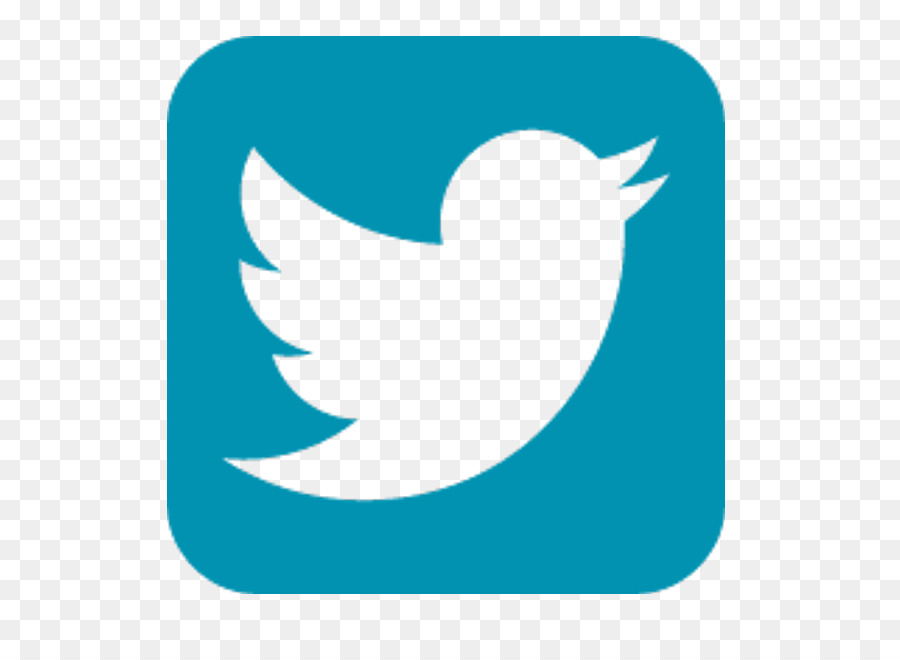 Logotipo De Twitter，Redes Sociales PNG