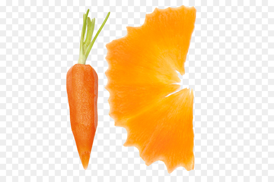 Zanahoria，Gemüseschneider PNG