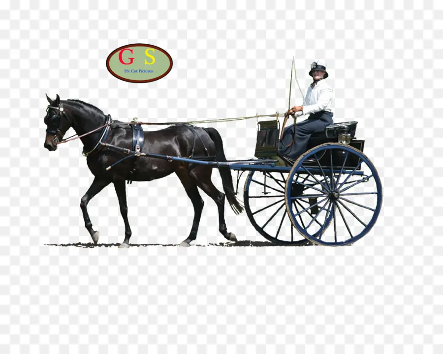 Arneses De Caballos，Caballo Y Buggy PNG