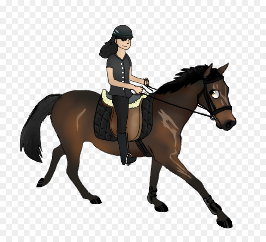 Caballo，Asiento De Caza PNG