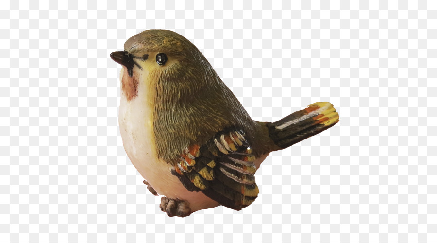 Pájaro，Plumas PNG