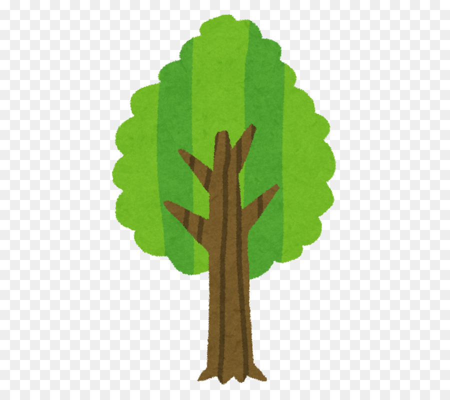 Árbol，Naturaleza PNG