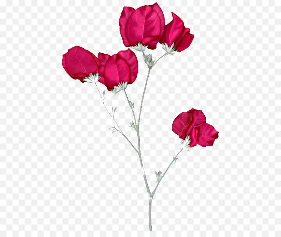 Rosas De Jardín，Flores Rosadas PNG