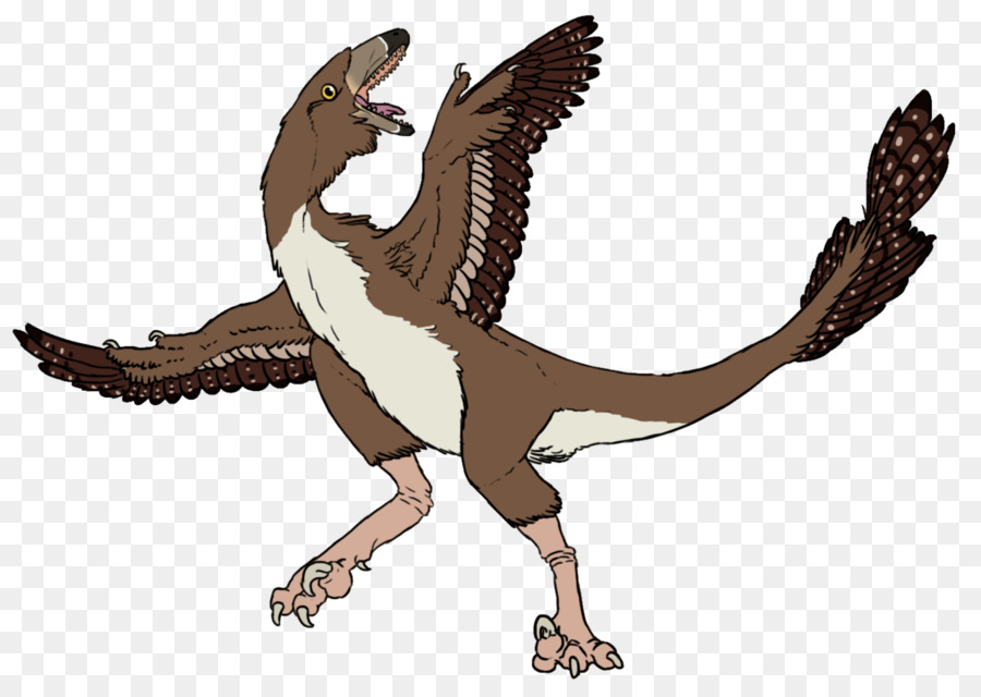 Velociraptor，Tiranosaurio PNG