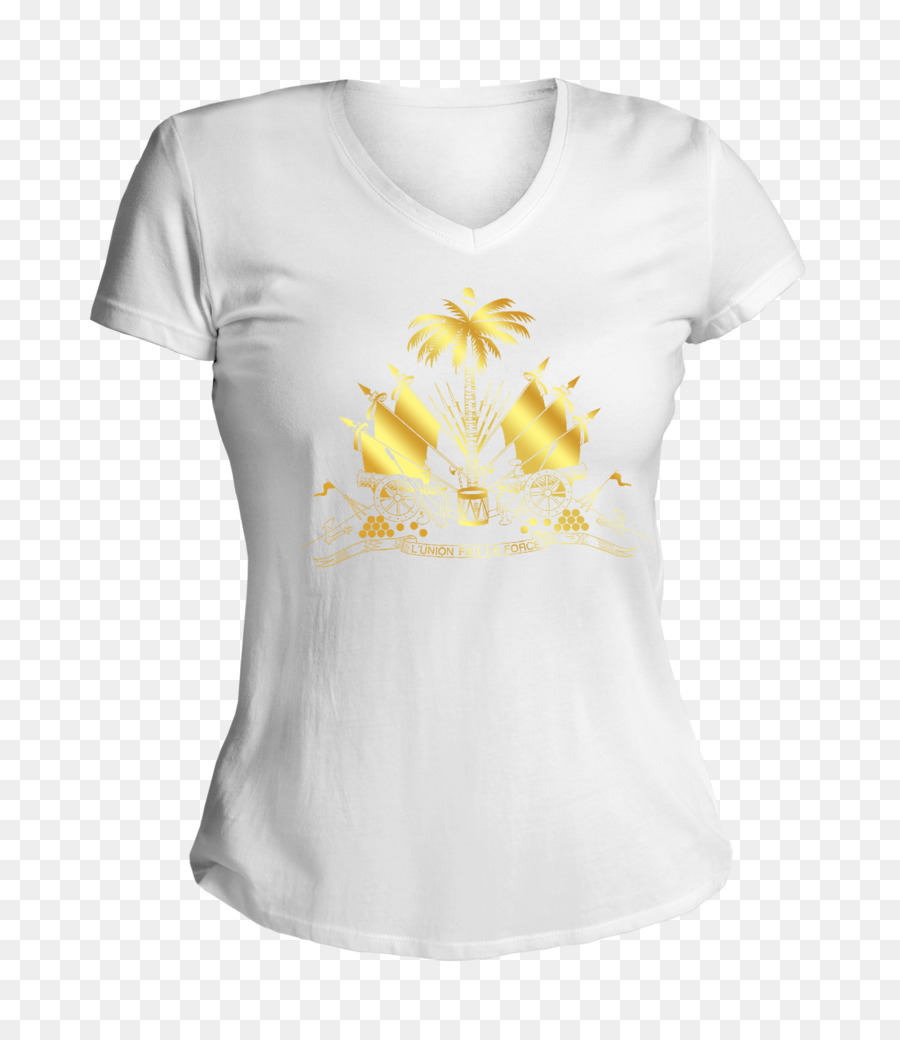 Camiseta，Haití PNG