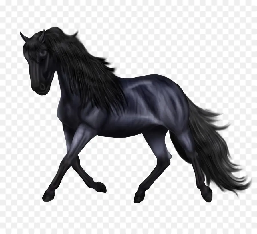 Caballo Frisio，Frisio Sporthorse PNG