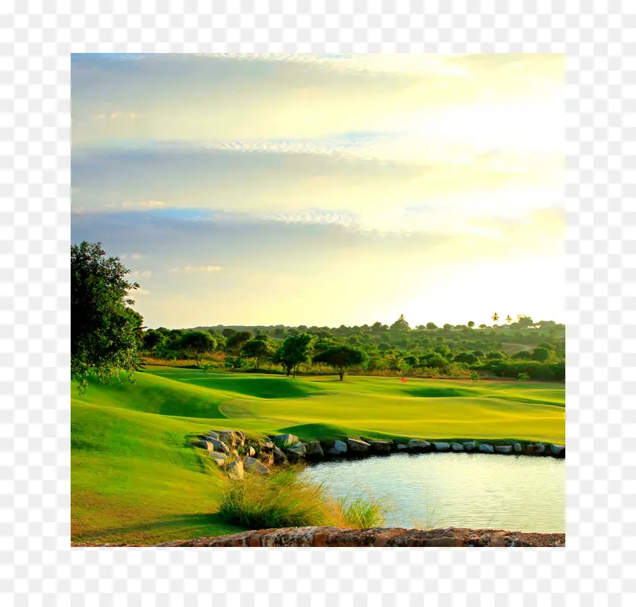 Campo De Golf，Clubes De Golf PNG