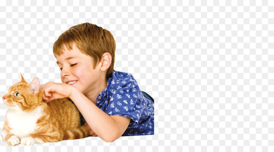 Gato，Perro PNG