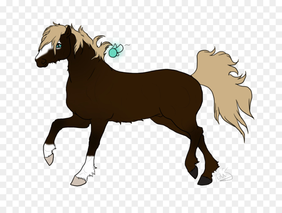 Caballos，Potro PNG