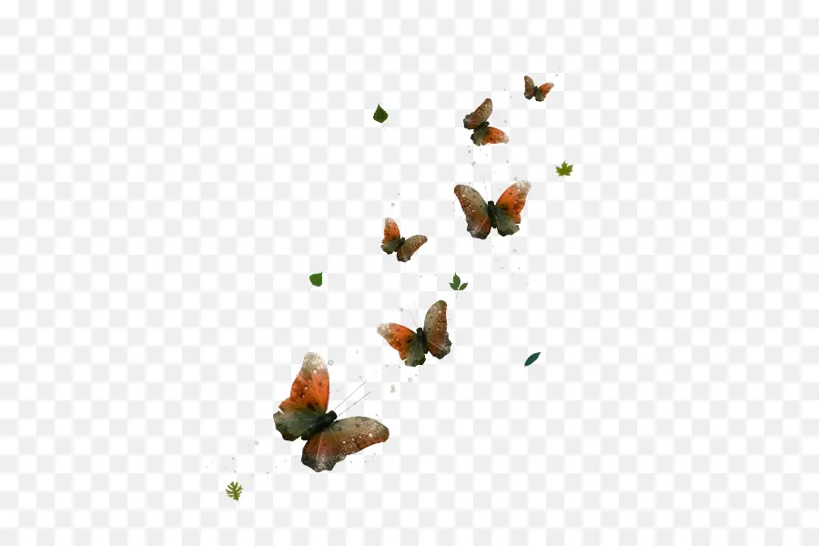 Mariposas，Vuelo PNG