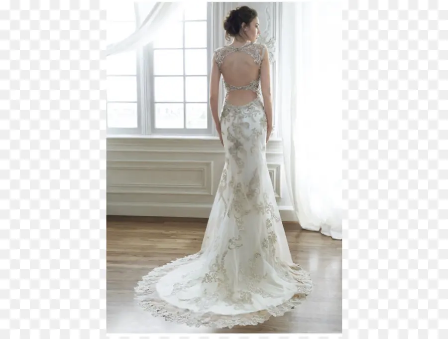 Vestido De Novia，Novia PNG