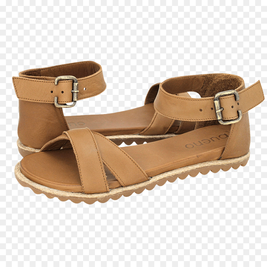 Zapatilla，Zapato PNG