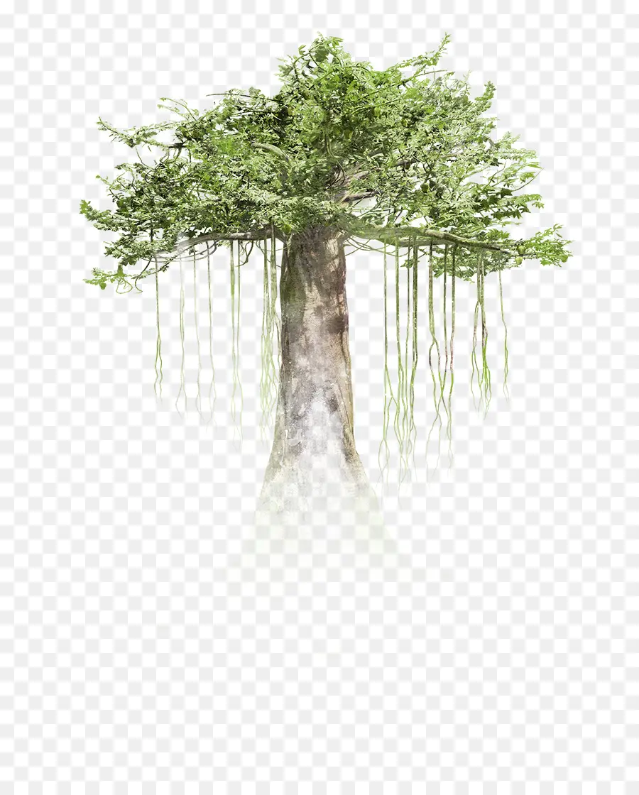 Realidad Virtual，árbol PNG