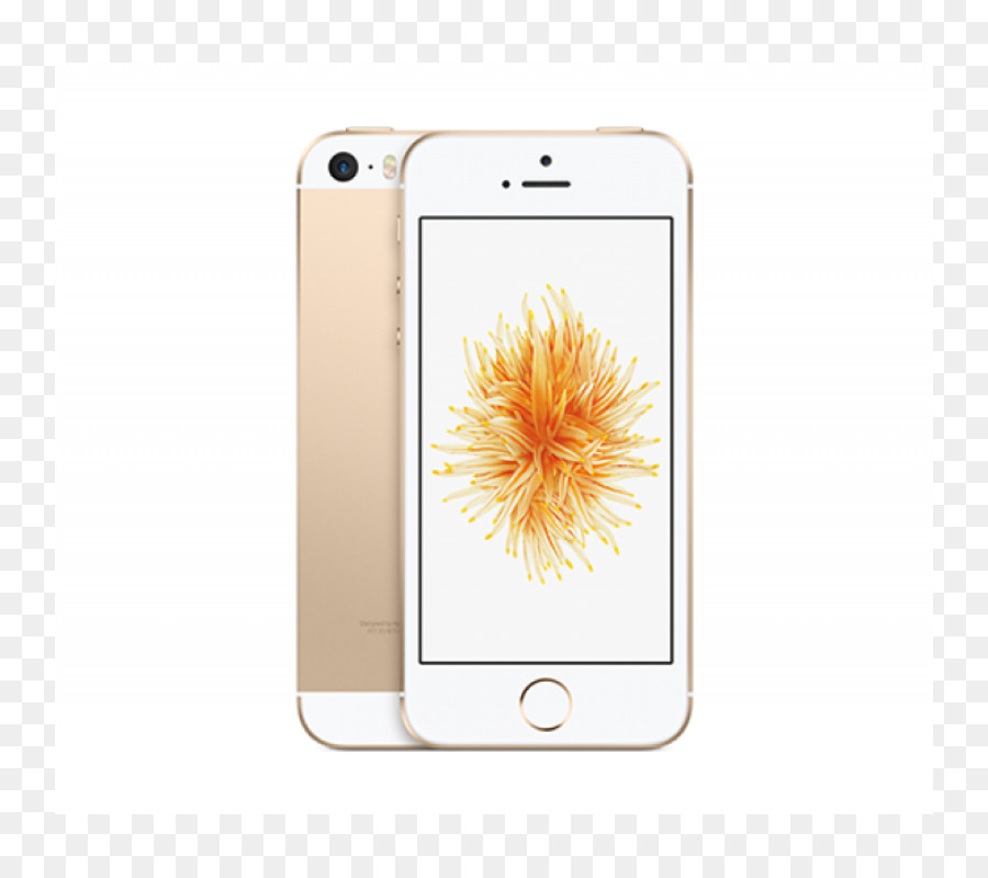 Iphone Se，Oro PNG