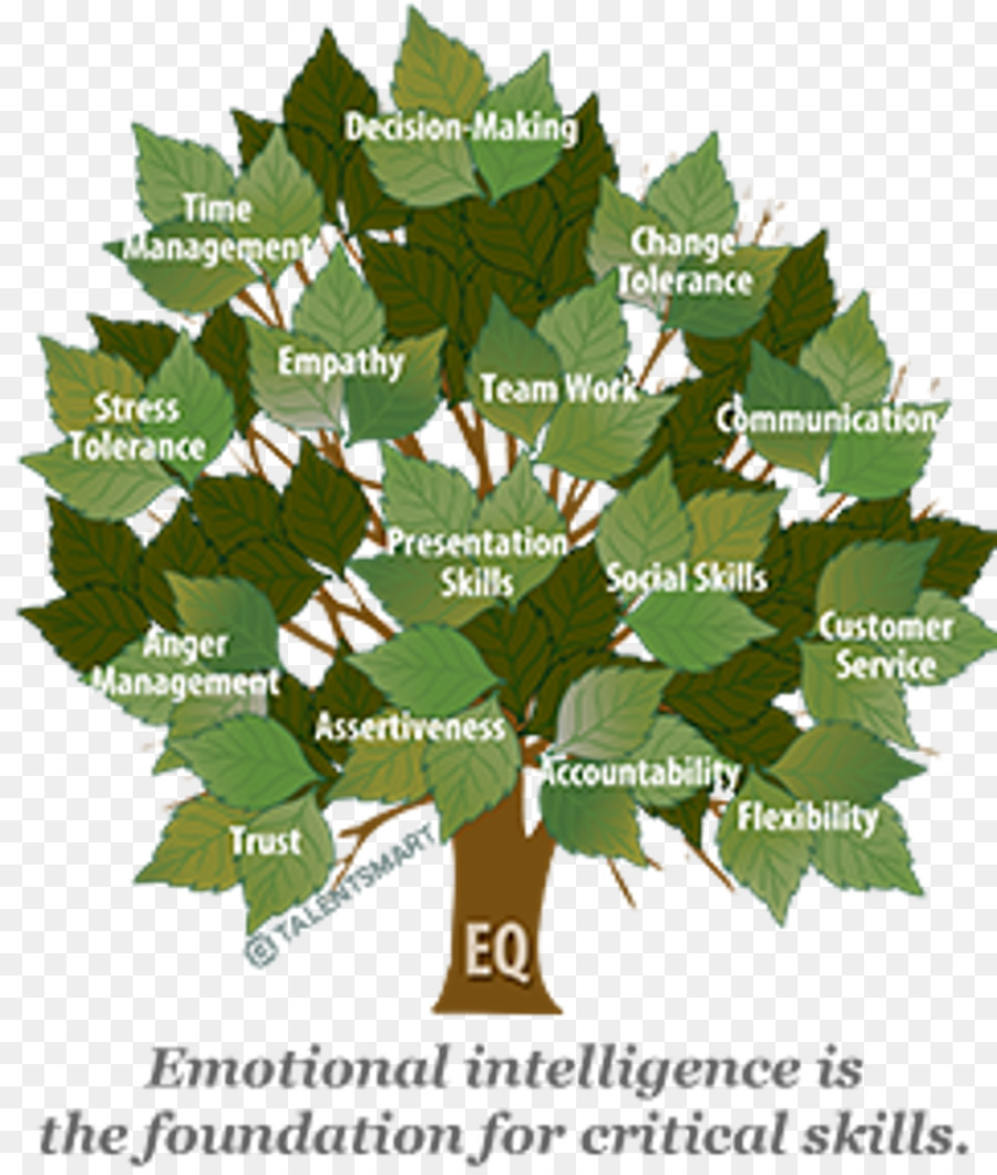 Inteligencia Emocional，Inteligencia PNG