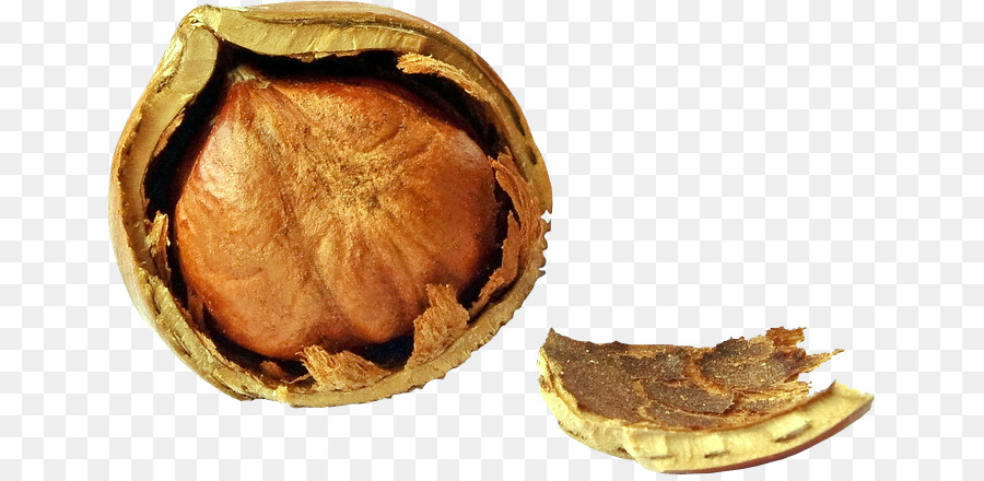 Alimento，Avellana PNG