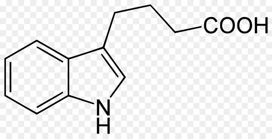 ácido Butírico De Indole3，Auxín PNG