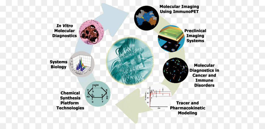 Imagen Molecular，Biología Molecular PNG