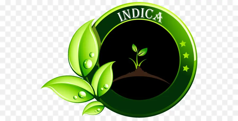 Índica，Planta PNG