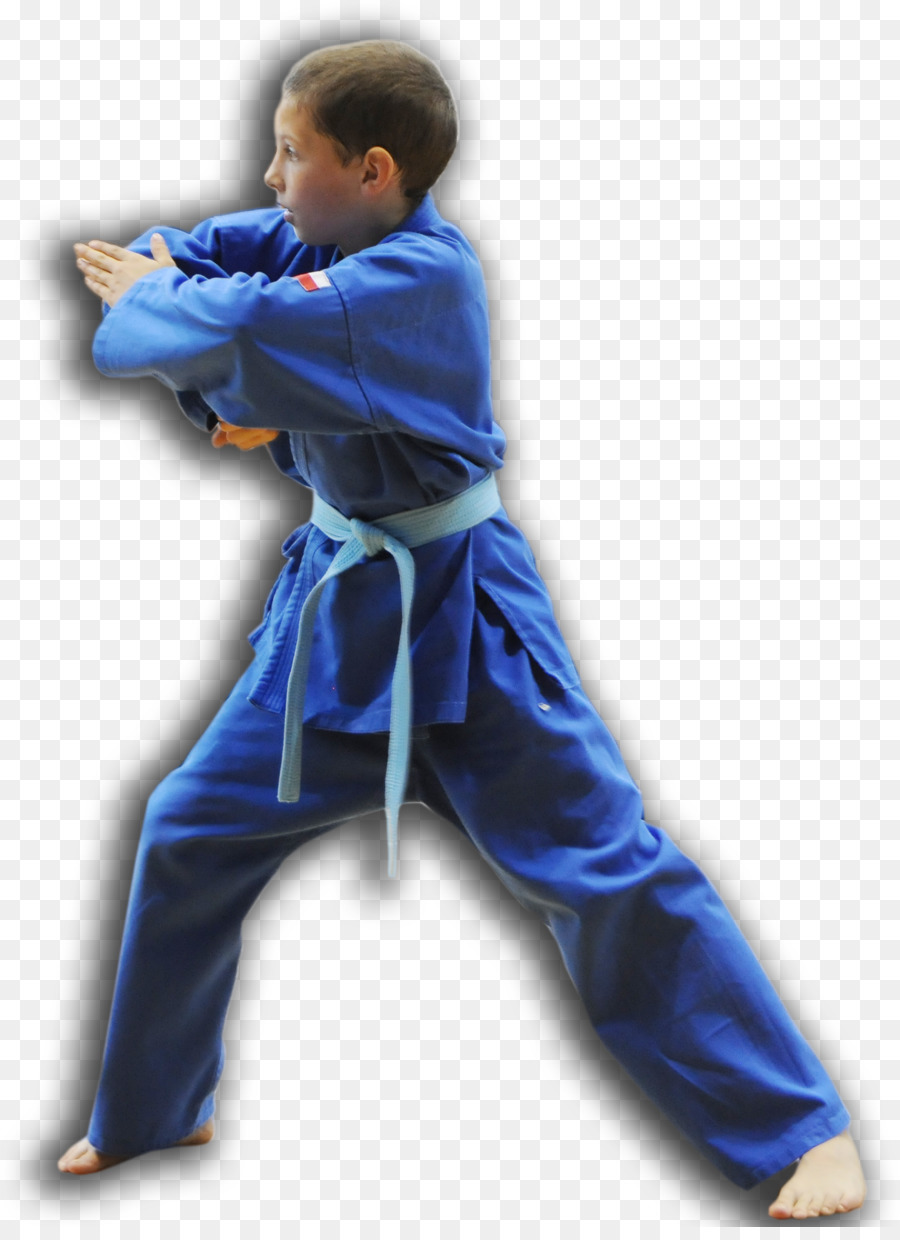 Niño Con Uniforme Azul De Artes Marciales，Kárate PNG