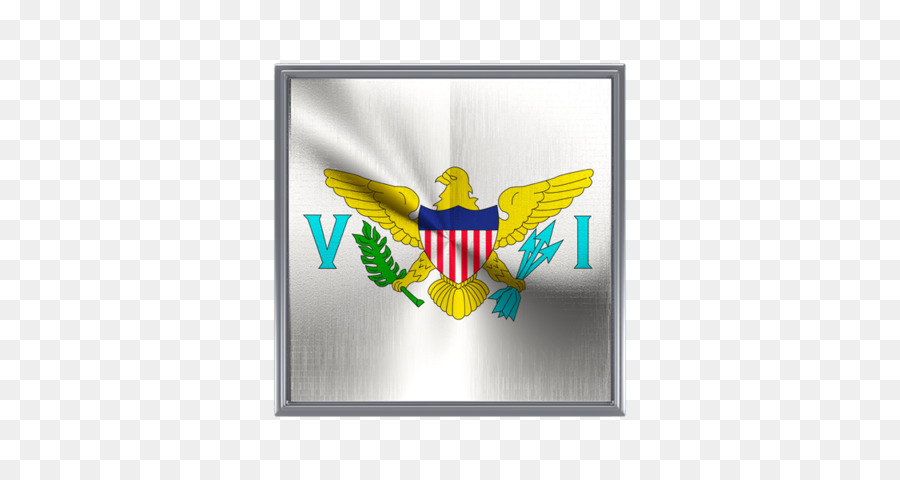 Estados Unidos，Camiseta PNG