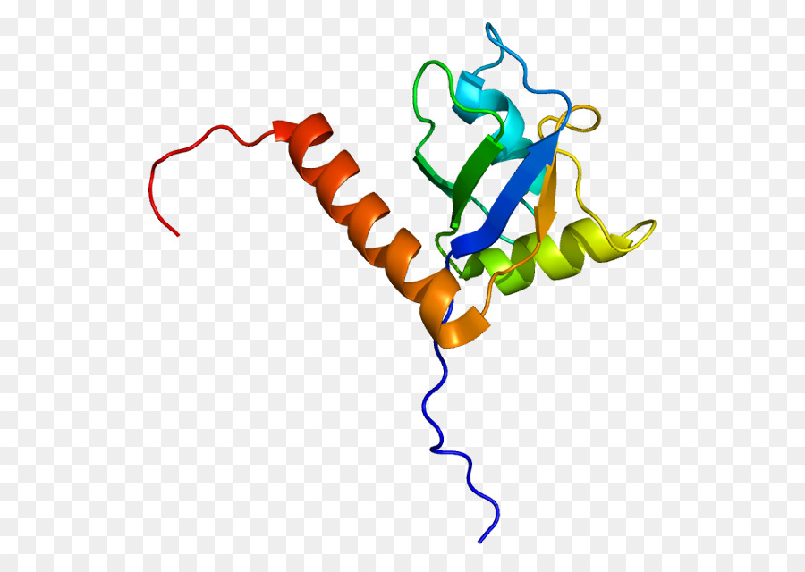 Proteína Unida，Proteína PNG