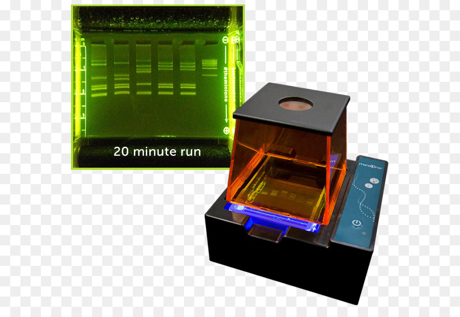 Electroforesis，Electroforesis En Gel PNG