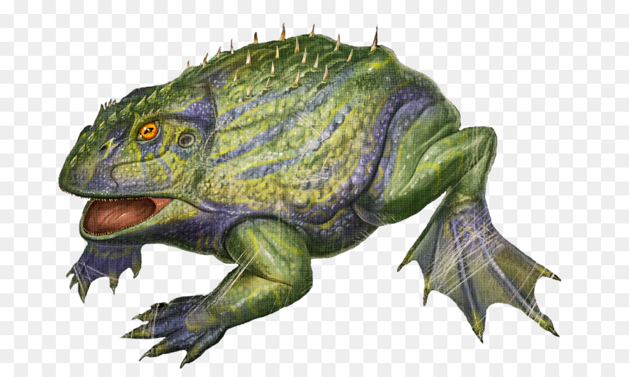 La Supervivencia Del Arca Evolucionó，Compsognathus PNG