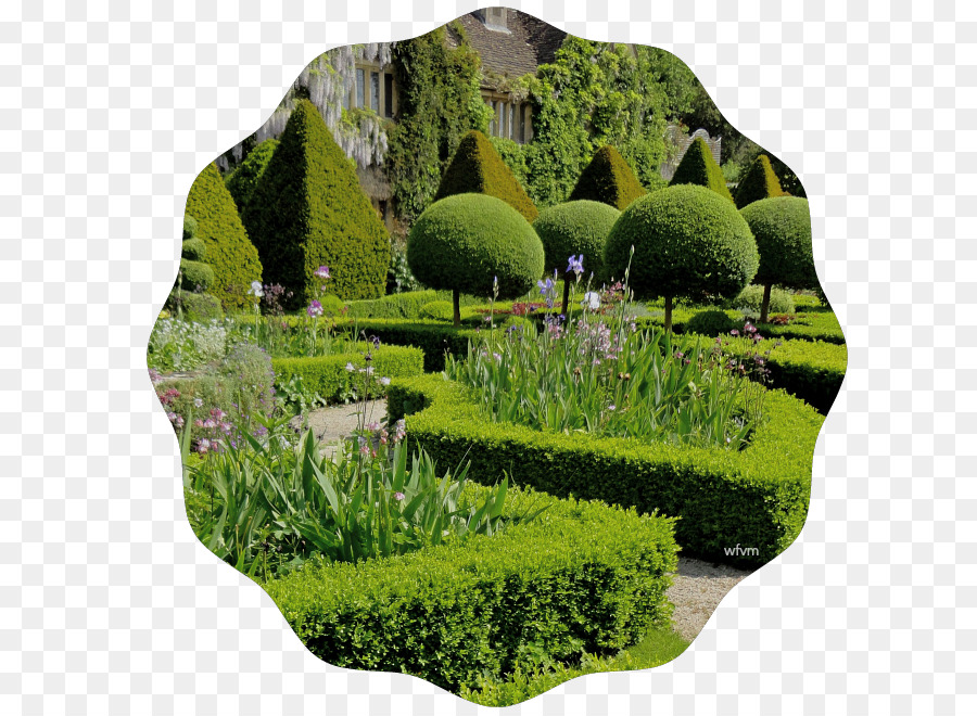 Jardín Botánico，Paisaje PNG