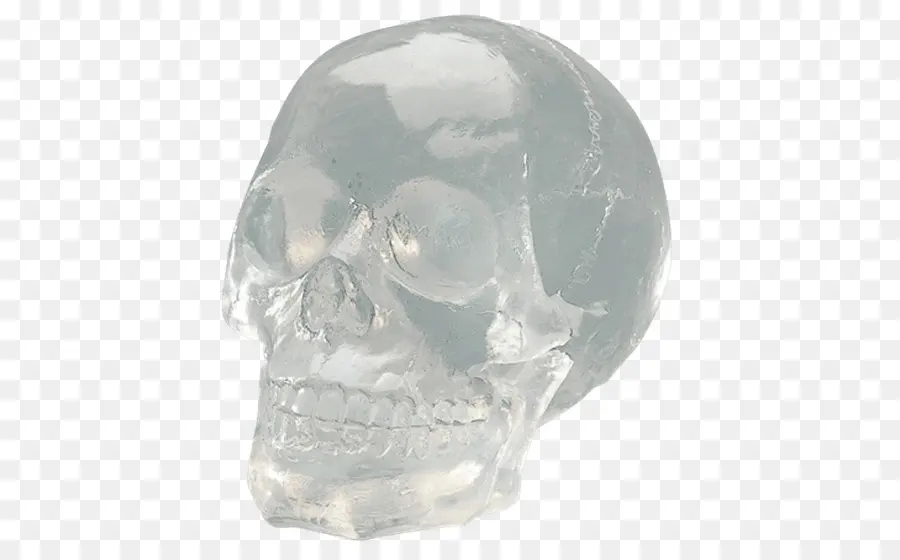 Calavera De Cristal，Transparente PNG