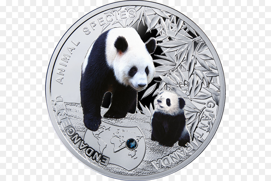 Panda Gigante，Especie En Peligro PNG