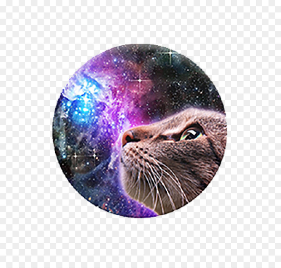 Gato Espacial，Galaxia PNG